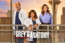 La 22ème saison de "Grey's Anatomy" diffusée sur TF1 à partir du 15 avril 2026