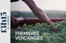 "13h15 le samedi" : Les premières vendanges de Tiffany ce 25 juillet 2026 sur France 2