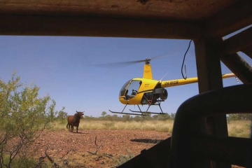 "Les avions du bout du monde" en Australie sur France 5 lundi 17 août 2026