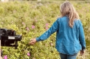 "Fleurs à parfum, retour en Grasse" avec Carole Biancalana sur France 5 lundi 18 mai 2026
