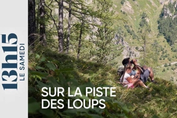 "13h15 le samedi" sur la piste des loups avec Rémy Masseglia et sa fille Naïs ce 27 décembre 2025 sur France 2