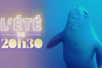 "L'été de 20h30" dévoile dessous du bikini ce 4 juillet 2026 sur France 2