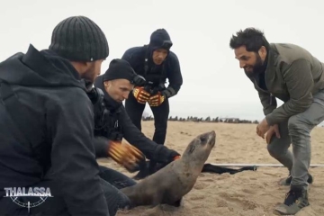 "Thalassa, aventures extrêmes" en Namibie lundi 3 novembre 2025 sur France 5