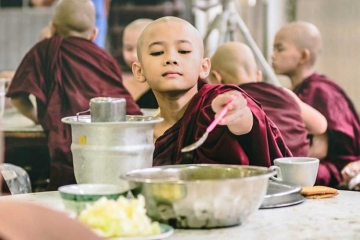 &quot;L'adieu à la viande&quot;, la grande histoire des végétariens sur Arte samedi 22 novembre 2025 (vidéo)