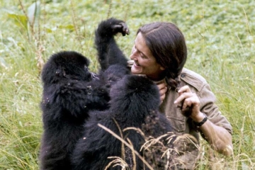 Dian Fossey, la femme-gorille" sur Arte samedi 13 décembre 2025