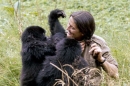 Dian Fossey, la femme-gorille" sur Arte samedi 13 décembre 2025