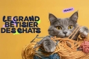 &quot;Le Grand Bêtisier des chats&quot; : immersion dans l'univers hilarant de nos félins sur 6ter vendredi 8 août 2025