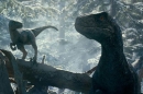 Inédit - &quot;Jurassic World : Le Monde d'après&quot; sur TF1 dimanche 6 juillet 2025 (vidéo)