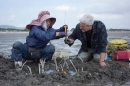 &quot;Au bout c'est la mer - Le fleuve Chikugo Gawa au Japon&quot; jeudi 31 juillet 2025 sur France 5