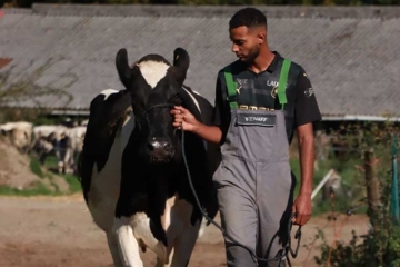 "Nolan - devenir éleveur en Bretagne, la génération d'après" un portrait inédit à voir sur France 3 lundi 17 novembre 2025