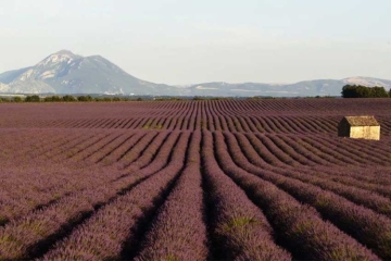 &quot;Fabuleuse Provence&quot; : l'histoire de cette terre à découvrir sur France 3 mercredi 27 août 2025