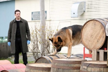 "Hudson et Rex" saison 7, résumé des épisodes diffusés sur France 3 dimanche 5 juillet 2026