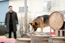 "Hudson et Rex" saison 7, résumé des épisodes diffusés sur France 3 dimanche 5 juillet 2026